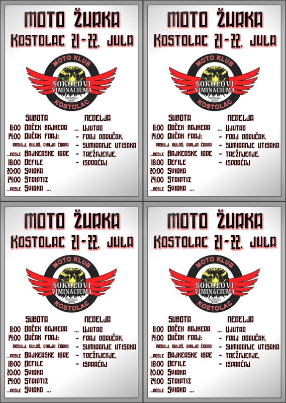 SOKOLOVI_Flayer