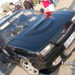 FLORIDA BLACK STORM (6)