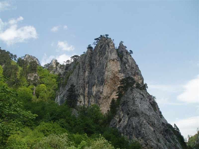 NP Sutjeska