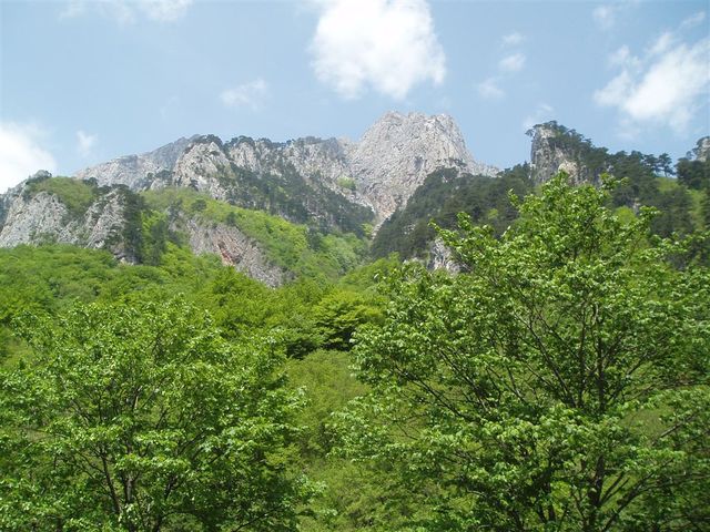 NP Sutjeska