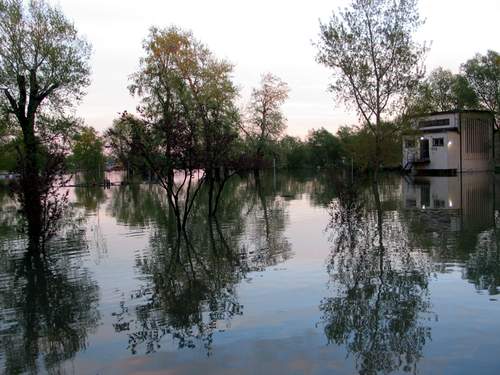 Sava ovih dana