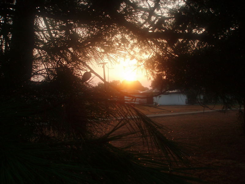 9.ovako se budi Bojana