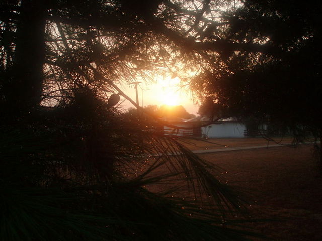 9.ovako se budi Bojana